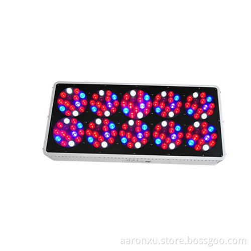 full spectrum Apollo 10 led grow light